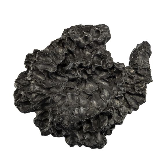 A dark, organic sculpture with a rough, layered texture set against a stark white background.