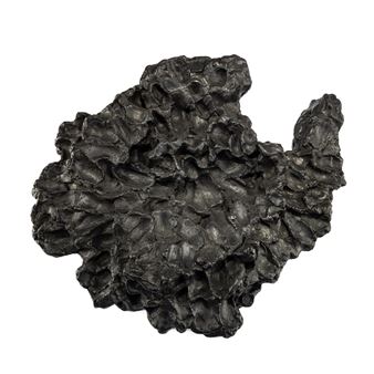 A dark, organic sculpture with a rough, layered texture set against a stark white background.