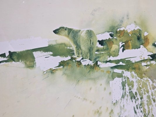 Morten E. Solberg | Arctic Monarch | MutualArt