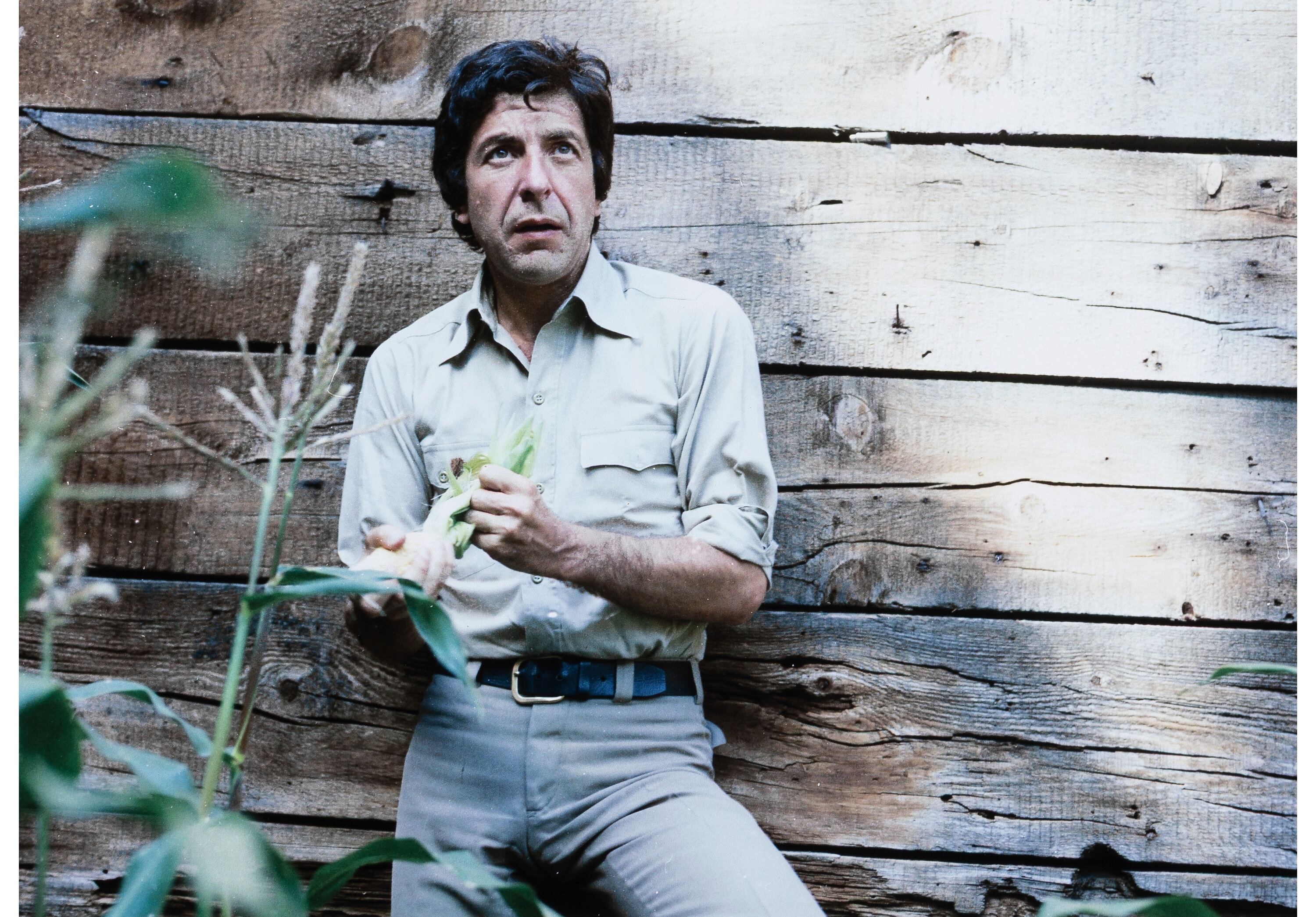 John Rowlands | Leonard Cohen (1974) | MutualArt