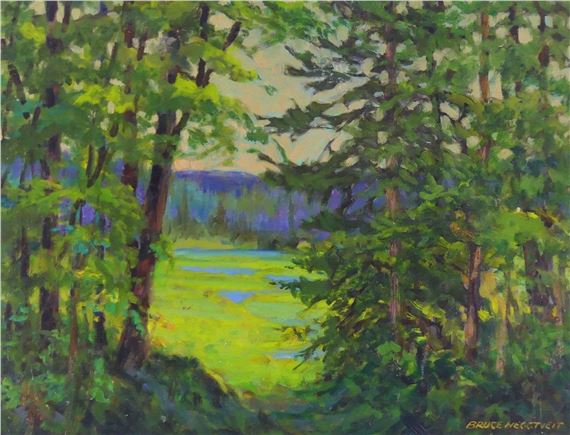Summer Colour, Fortune Lake, Gatineau Park, Quebec - Bruce Heggtveit