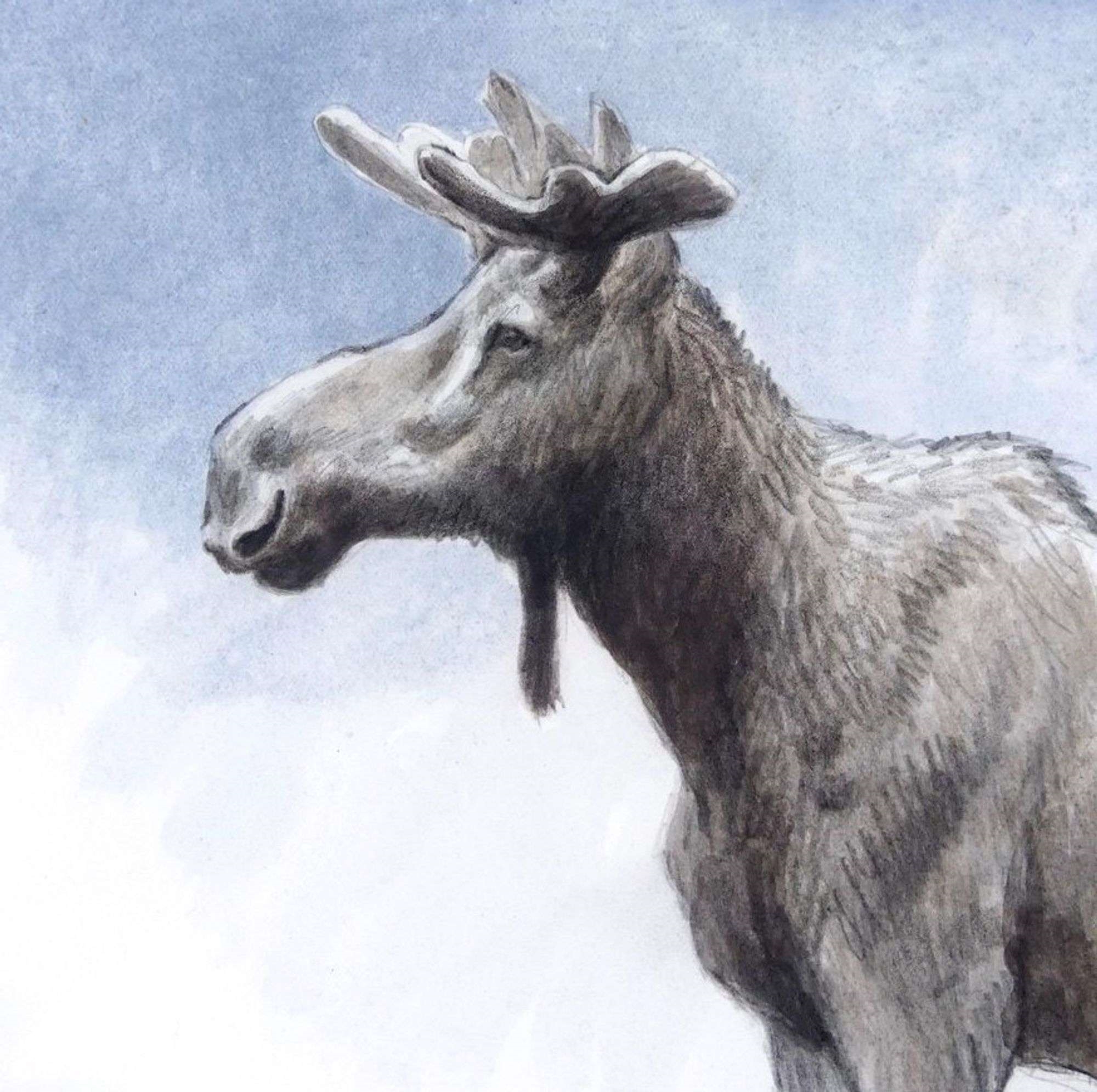Robert McLellan Bateman | Young Bull Moose, West Boulder River ...