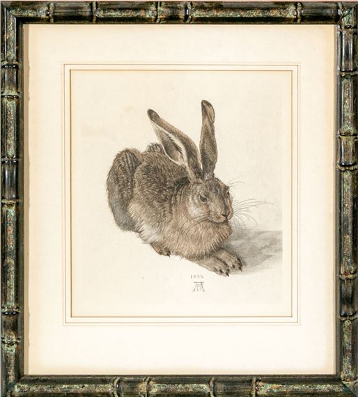 Albrecht Dürer | Young Hare | MutualArt