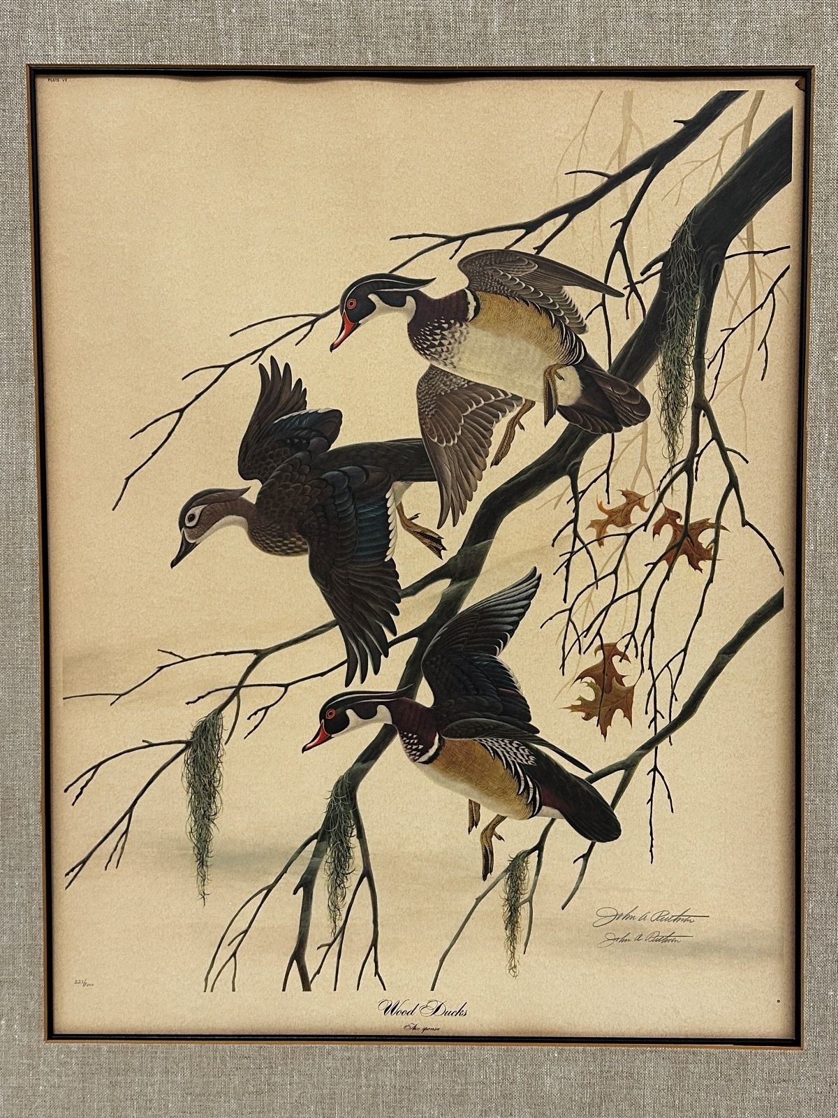 John Ruthven | Wood Ducks | MutualArt
