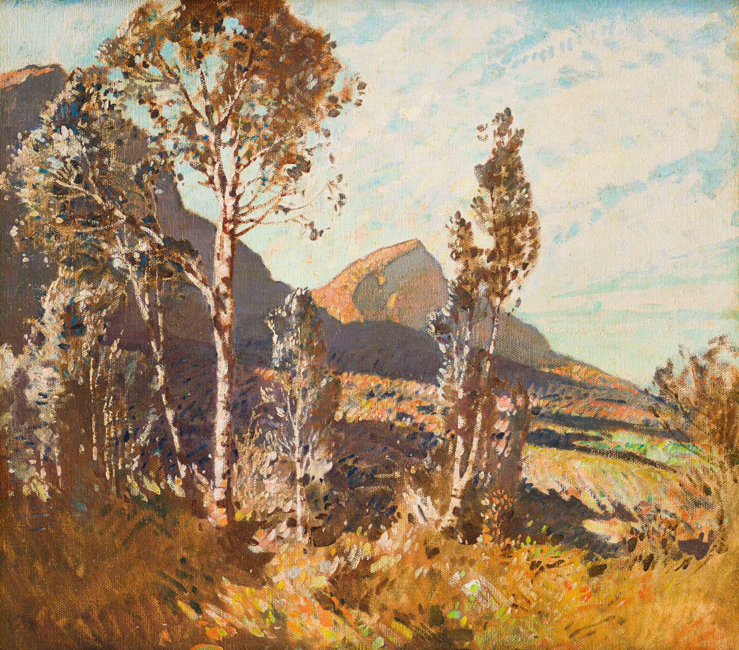Robert Gwelo Goodman | Cape Landscape with Devil's Peak in the Distance ...