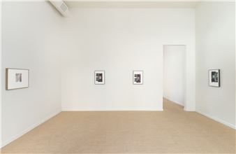 Monica Majoli - Hoffman Donahue, Los Angeles
