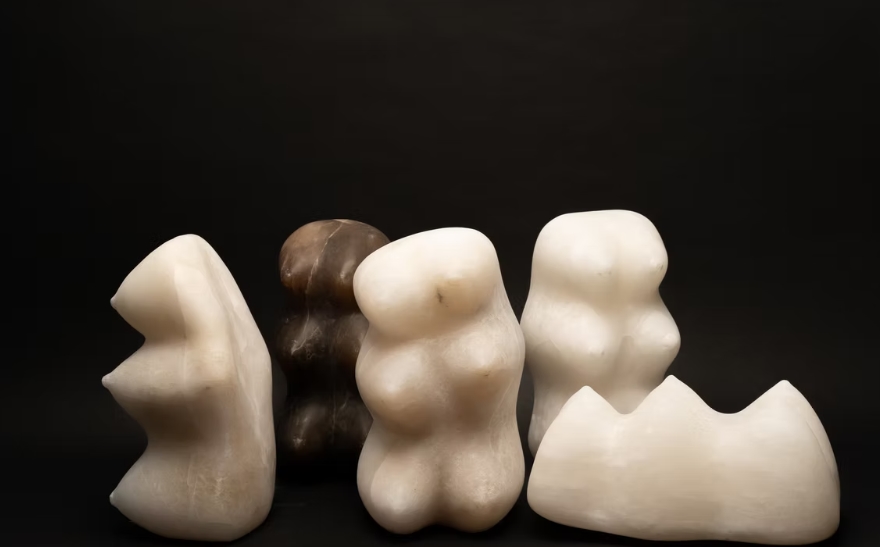 Ida Karkoszka & Karolina Wysocka: Mammals and Suckers​ at HOS Gallery