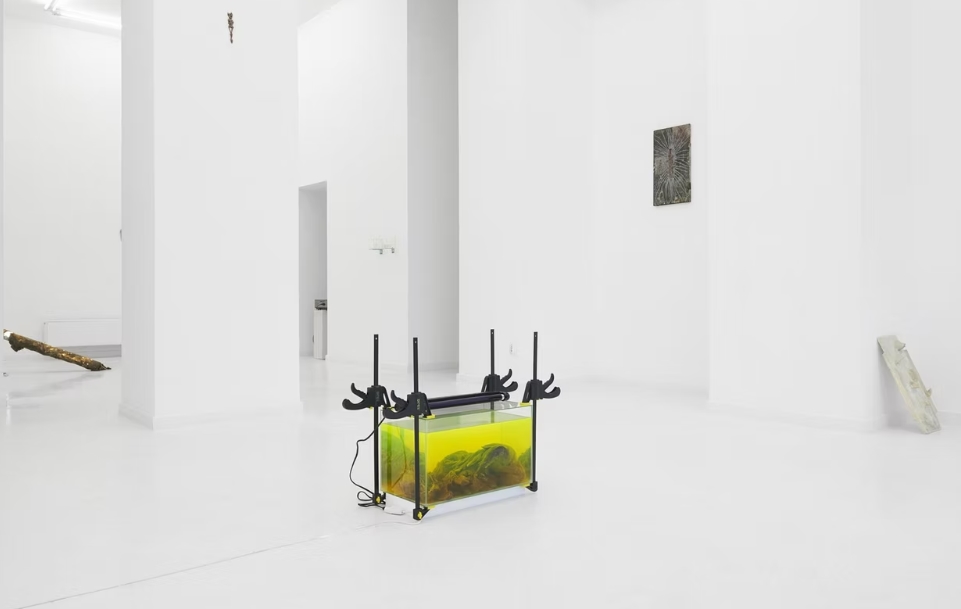 Always Someone Else Dies​ at HOS Gallery