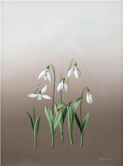 The Collection IV - Jonathan Cooper