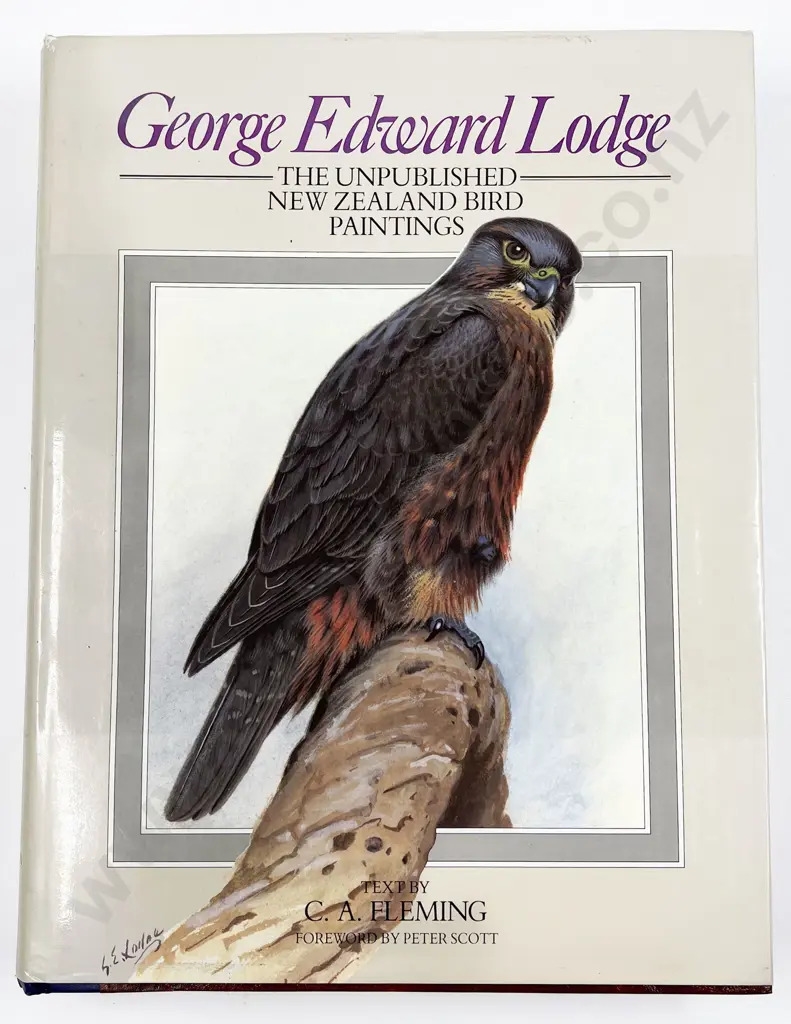 George Edward Lodge | The Unpublished New Zealand Bird Paintings ...