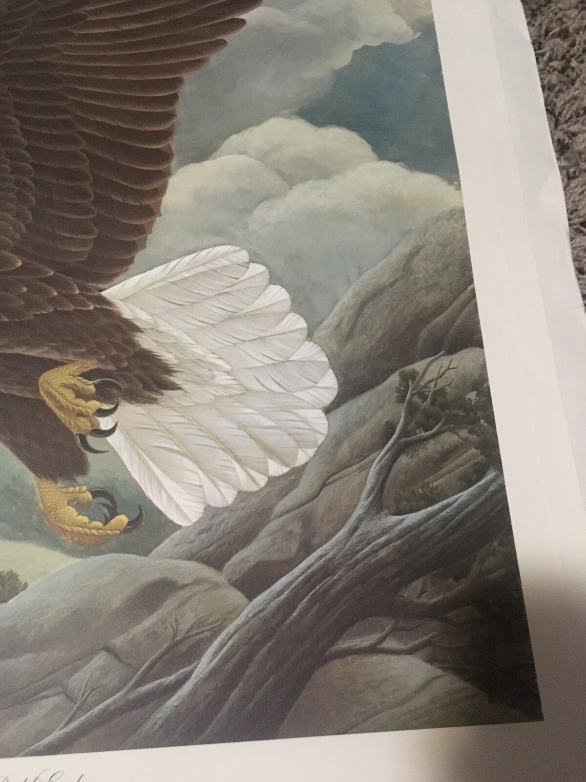 John Ruthven | American Bald Eagle (1976) | MutualArt