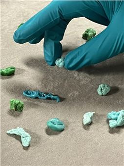 Catalina Tuca: Body Omens - Tiger Strikes Asteroid, New York