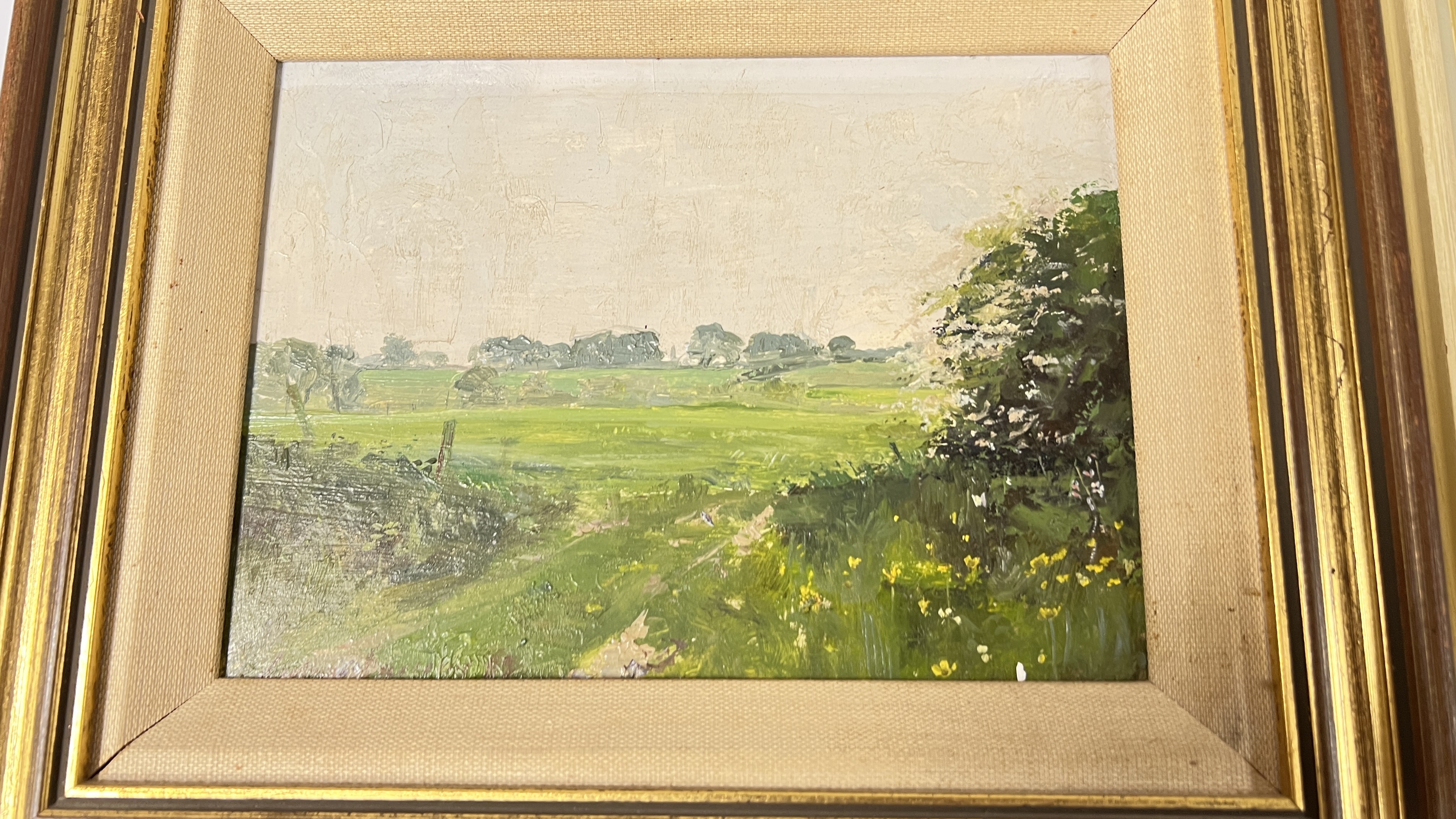 Geoffrey Burrows | CAROL SERVICE, WINTER SUNSHINE CHAPELFIELD GARDENS ...