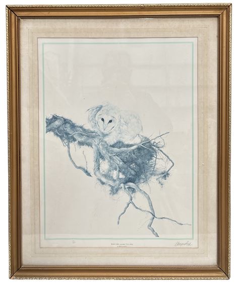 Bryan Reed | Barn Owl | MutualArt