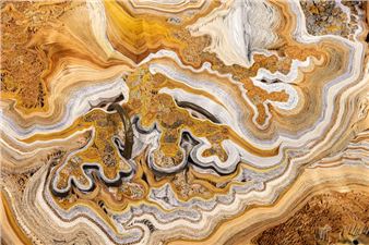 Rachel Marks: Kiiro [ 黄色: yellow in Japanese] - MAH, Musée d'Art et d'Histoire de Genève