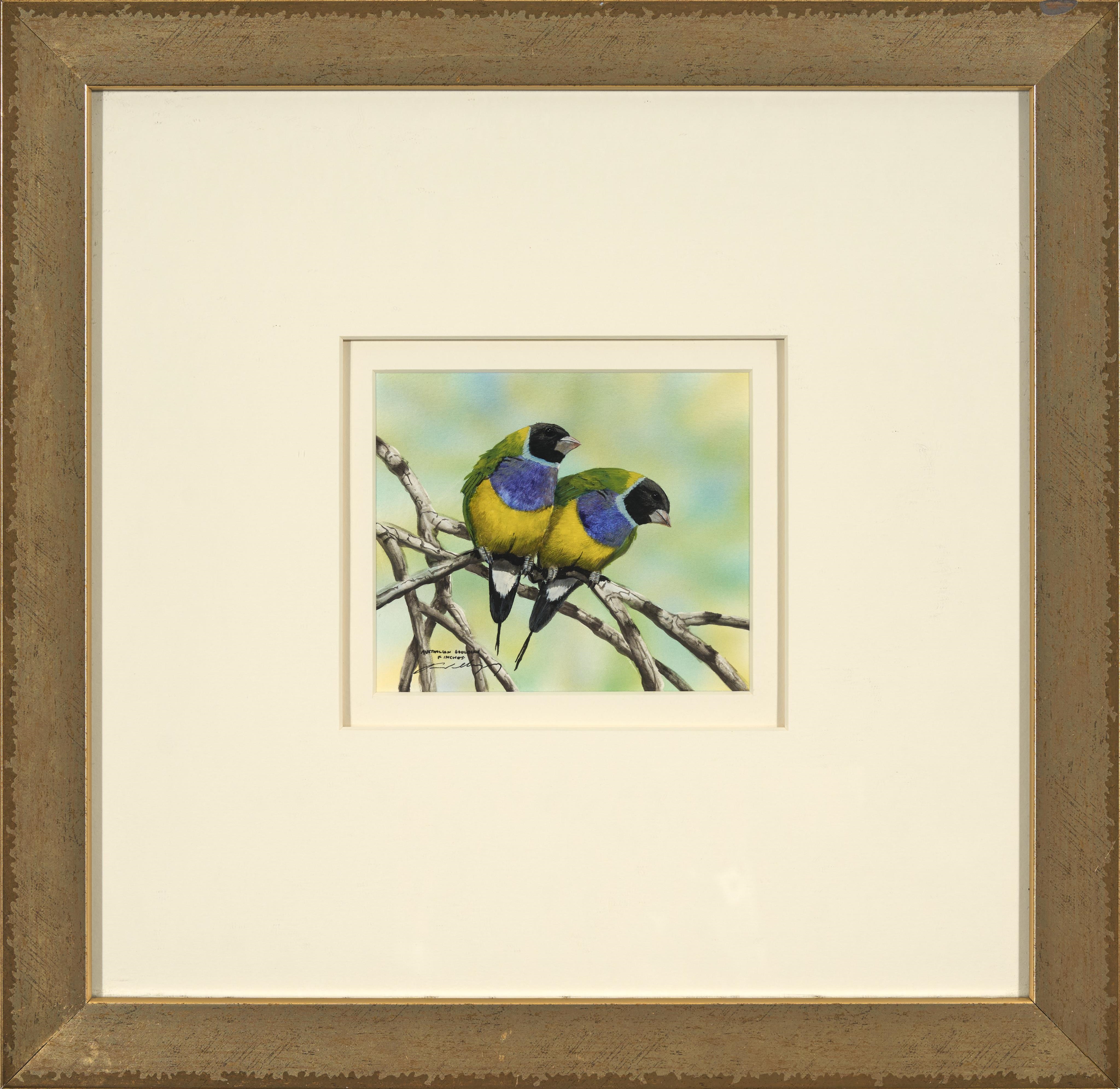 Paul Margocsy | Australian Gouldian Finches | MutualArt