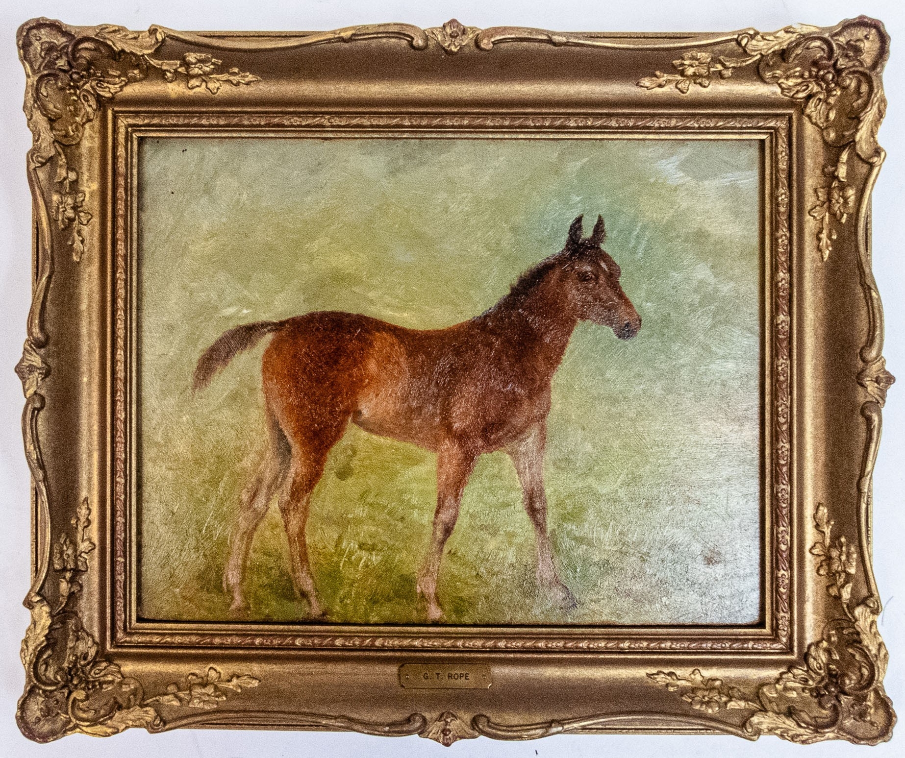 George Thomas Rope | oil painting on wooden panel of a foal | MutualArt
