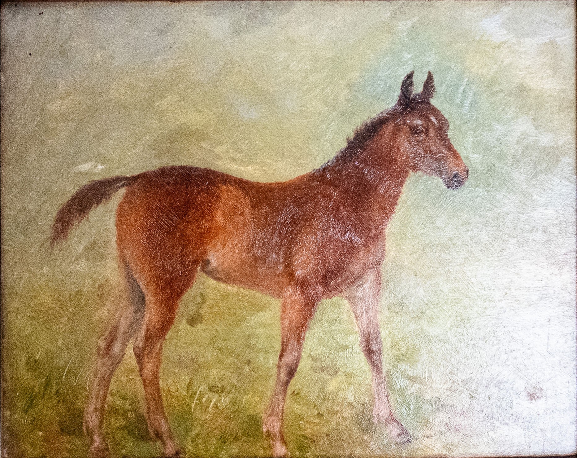 George Thomas Rope | oil painting on wooden panel of a foal | MutualArt