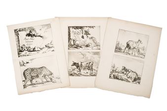 Animales Picture