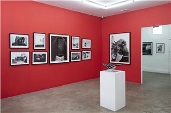 Mike Miller: Outtakes & Icons: Four Decades - HVW8 Art + Design Gallery, Los Angeles