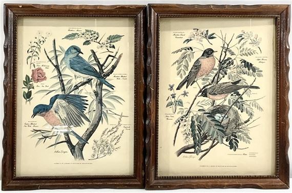 Arthur B. Singer | 2 Arthur Singer Bird Botanical Art Prints | MutualArt