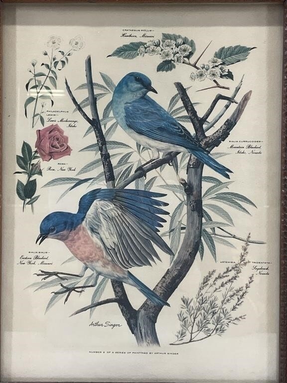 Arthur Singer Bird Prints
