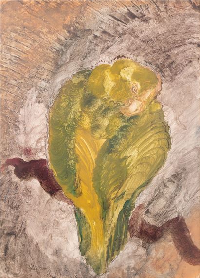 Parakeet Resting - Vera Cuningham