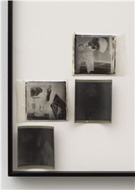 Craig Jun Li: Scrapping the Camera