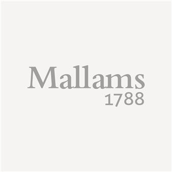 A minimalist composition featuring a serif text logo on a neutral background.