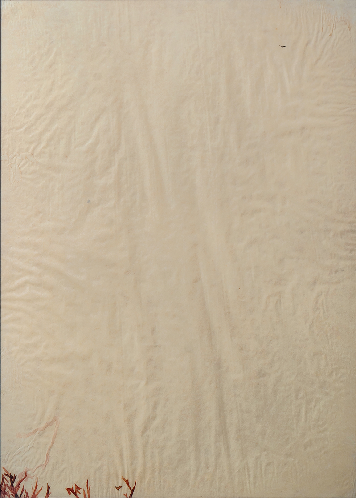 Aditi Singh | A Set of Twelve Untitled Works | MutualArt