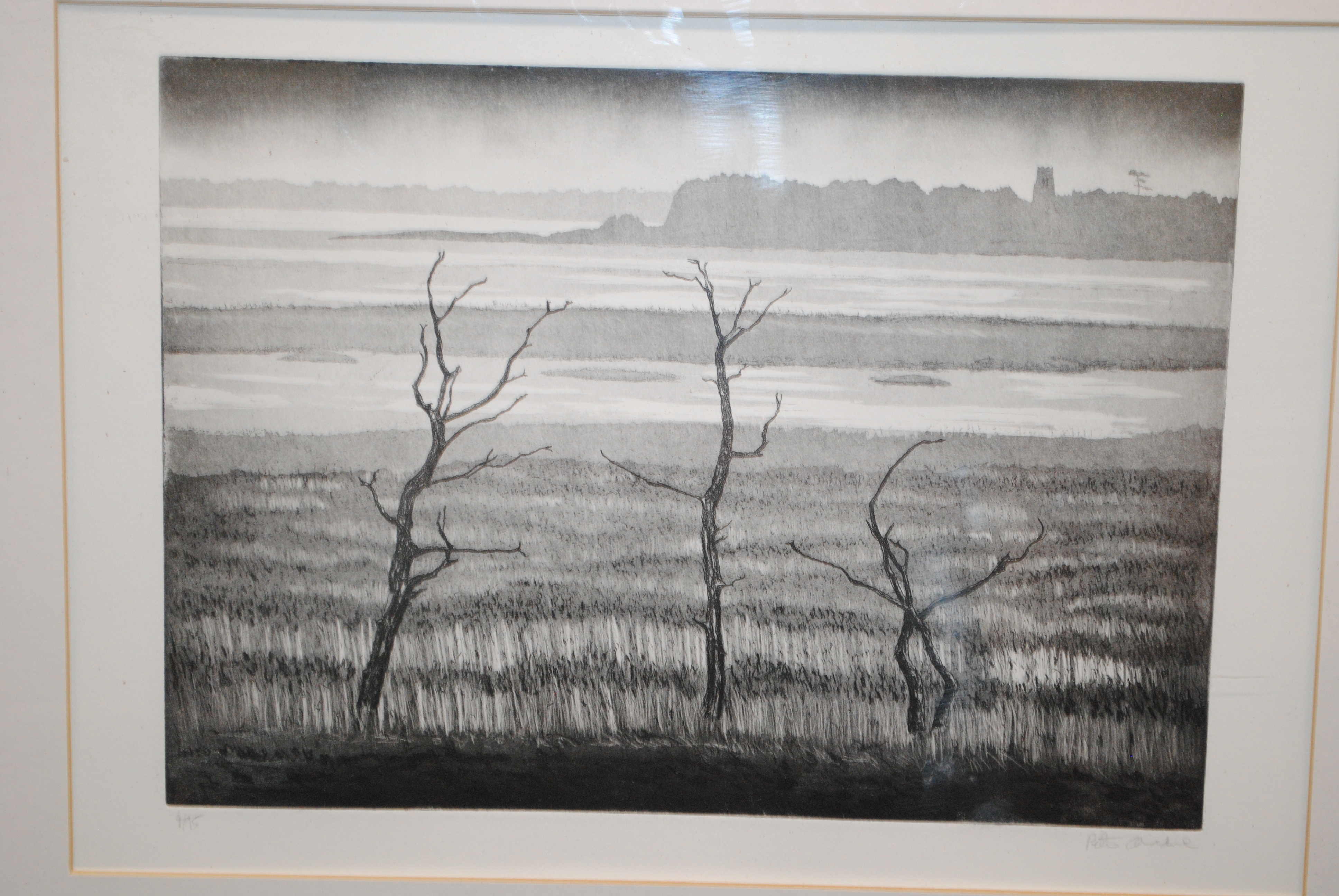 Peter Chadwick | Snape Trees | MutualArt