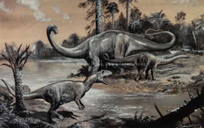 Petr Modlitba | Allosaurus a Diplodocus | MutualArt