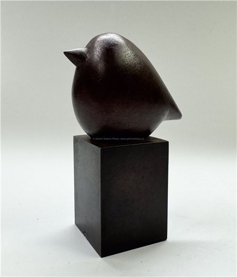 Ptáček by Ota Janeček