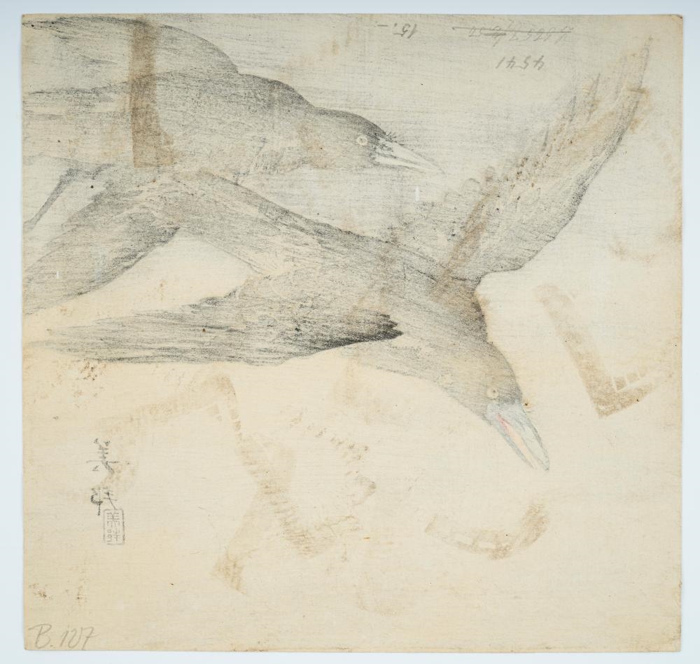 Takahashi Biho | A pair of crows in flight, with gofun used to depict ...