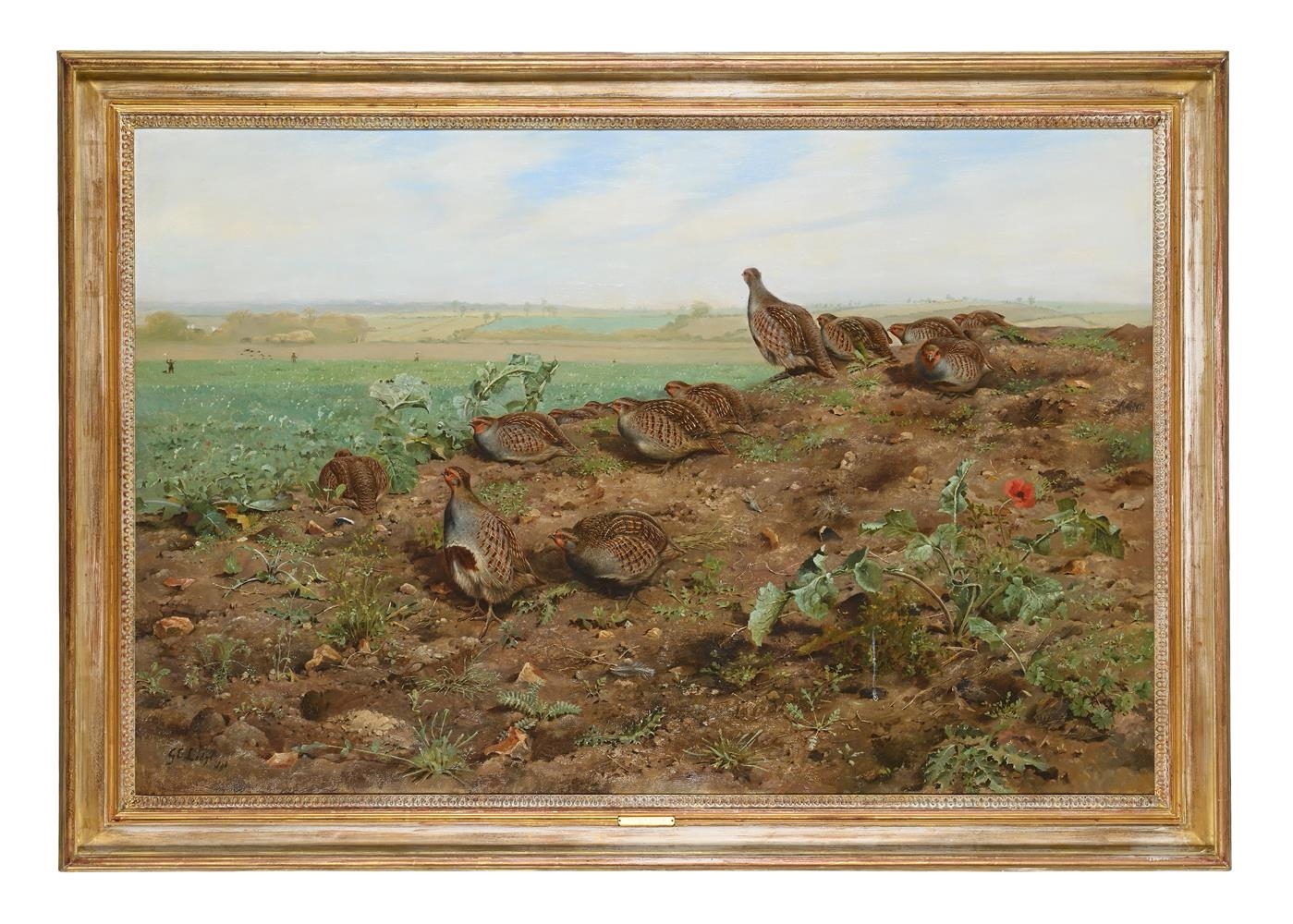 George Edward Lodge | PARTRIDGES IN A TURNIP FIELD (1896) | MutualArt
