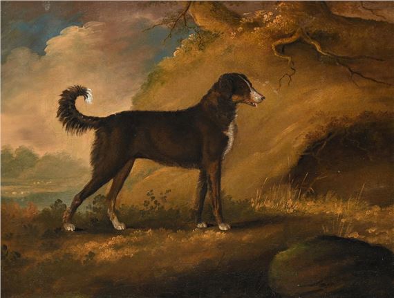 A LURCHER IN A LANDSCAPE - Edwin Cooper