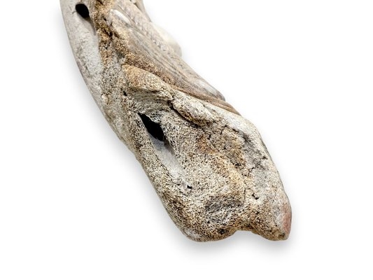 Kent Heindel | 71 Whale Rib Bone Carving w/ Walrus Design | MutualArt