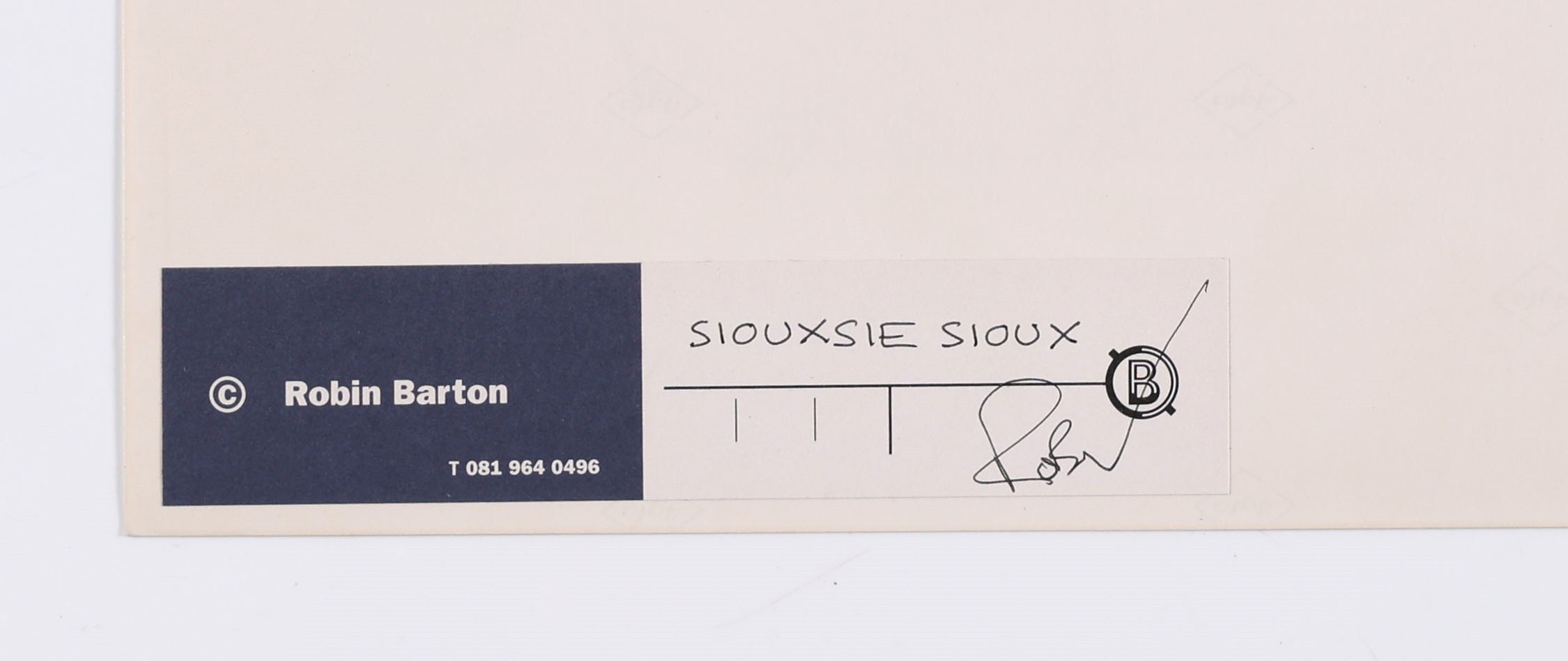 Robin Barton | Siouxie Sioux | MutualArt