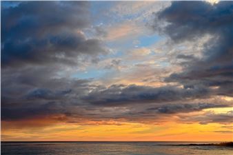 One Year in Downtown Salem - Stefani Art Gallery