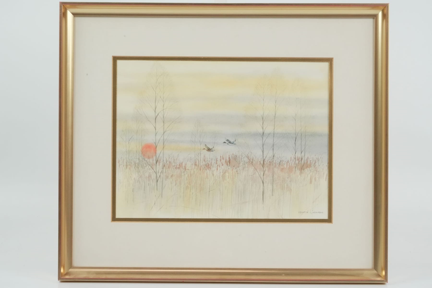 Kenneth Lindgren | Gräsänder i solnedgång | MutualArt