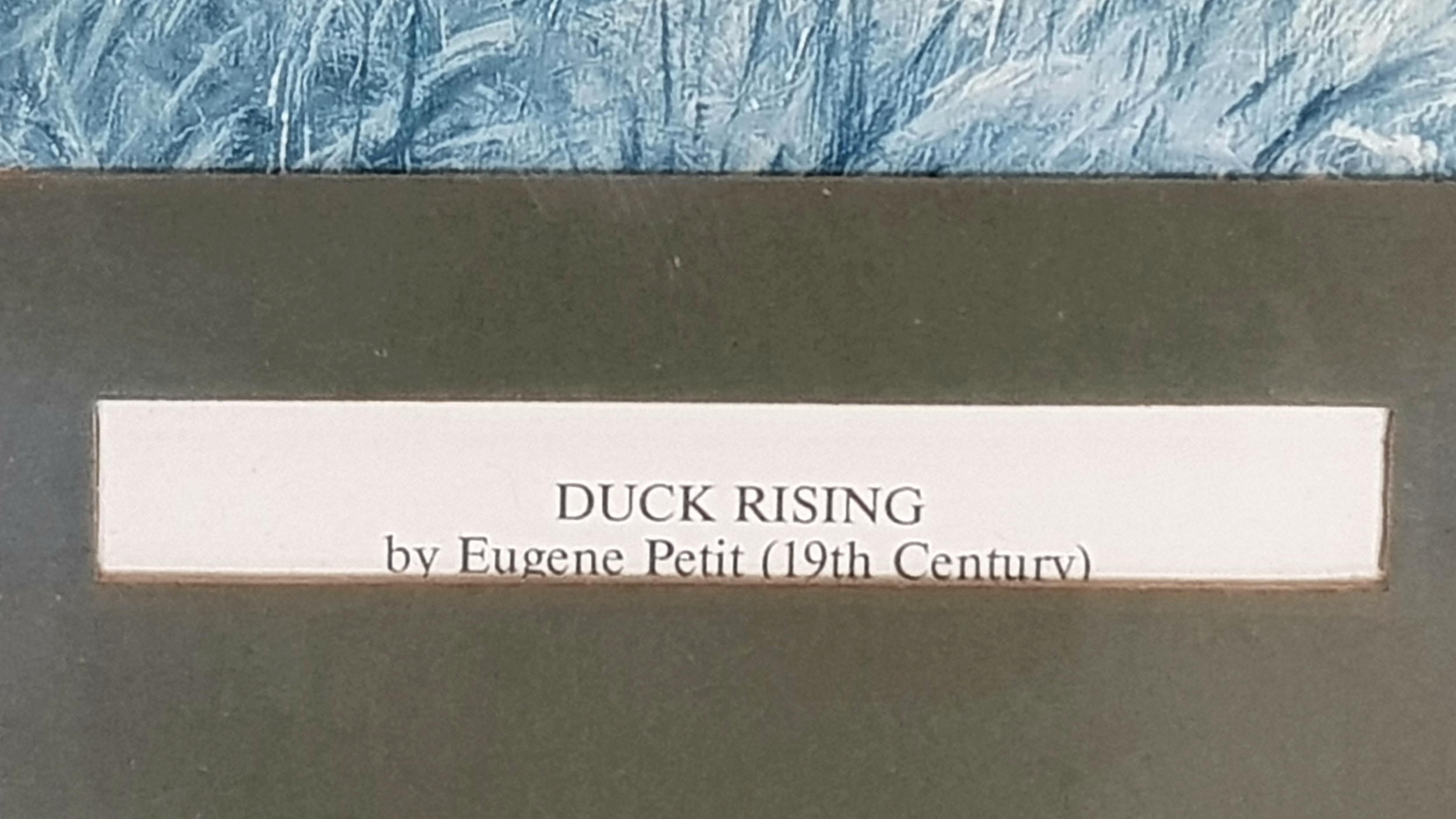 Eugene Petit | Duck Rising | MutualArt