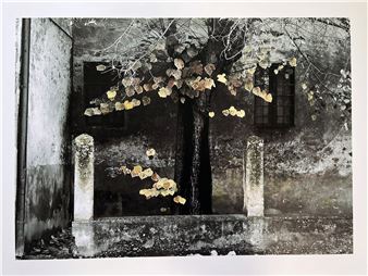 Brian Reberger: Silence In Shadow - fortyfivedownstairs