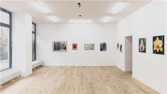 Code + Paint at DAM Projects