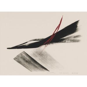 Untitled - Toko Shinoda