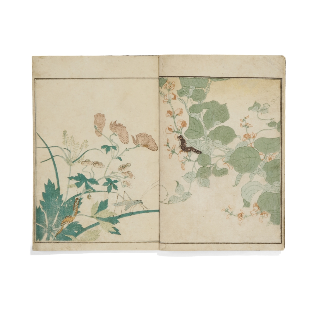 Kitagawa Utamaro | Picture book: selected Insects (Ehon mushi erabi ...