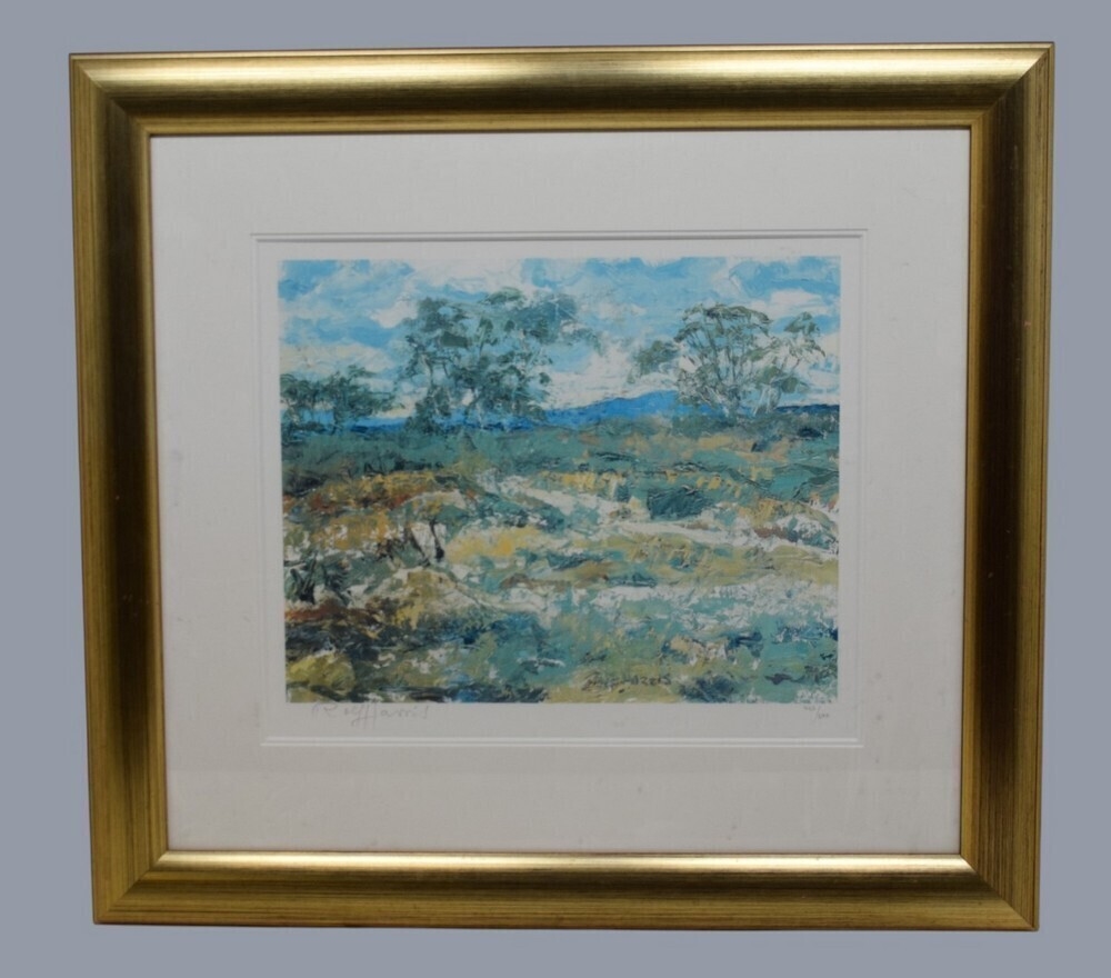 Rolf Harris | a framed signed limited edition print | MutualArt