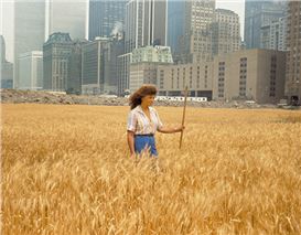 Agnes Denes's Wheatfield: An Impossible Confrontation