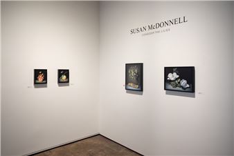 Installation view of Susan McDonnell exhibition at Sullivan Goss - An American Gallery, Santa Barbara.