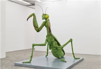 David Shrigley: The Mantis Muse - Galleri Nicolai Wallner
