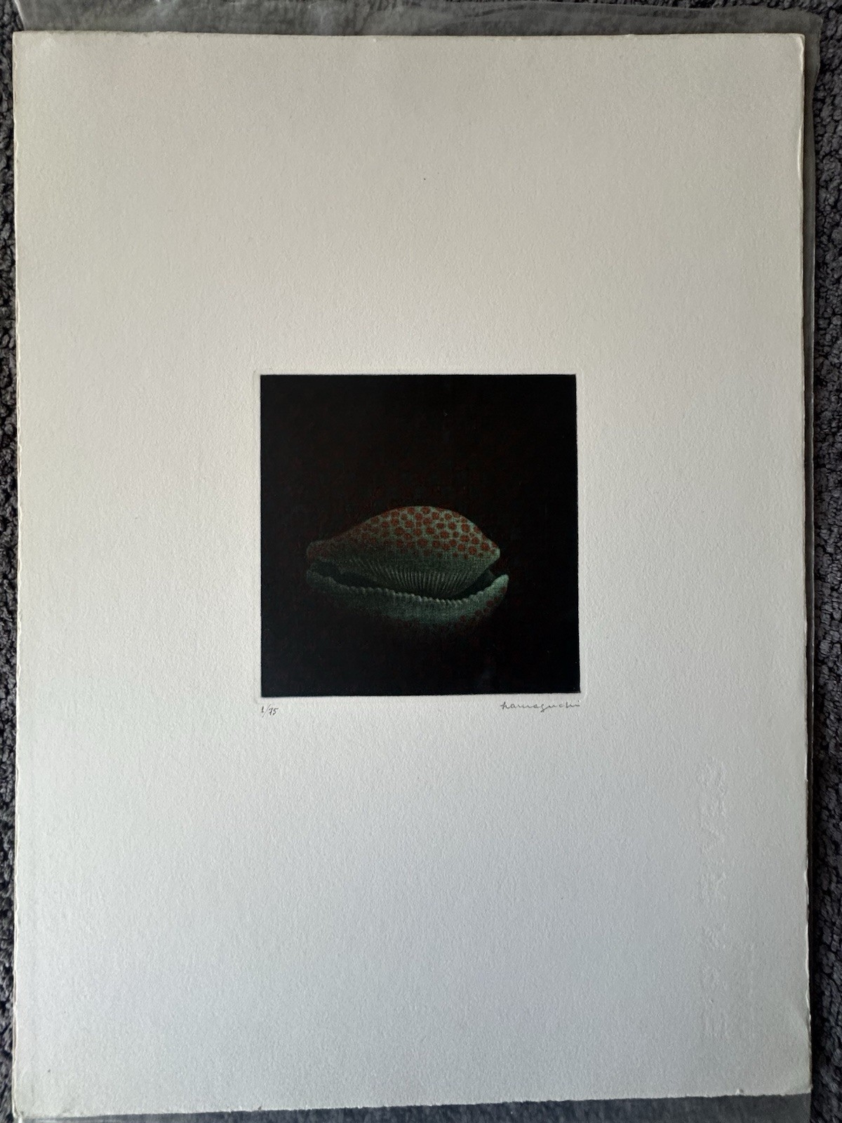 Yozo Hamaguchi | Shell (1976) | MutualArt